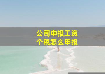 公司申报工资个税怎么申报