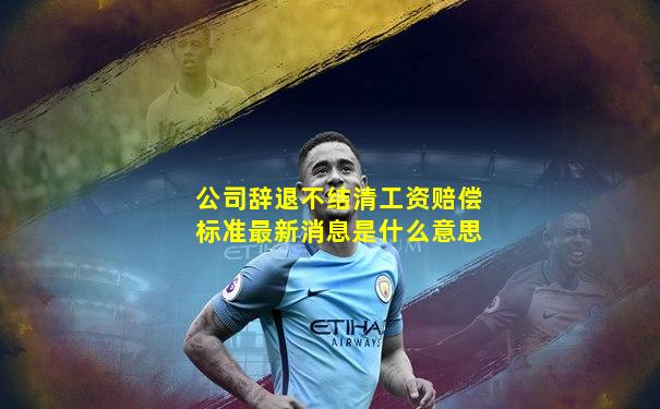 公司辞退不结清工资赔偿标准最新消息是什么意思