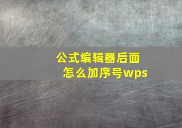 公式编辑器后面怎么加序号wps