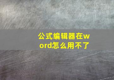 公式编辑器在word怎么用不了