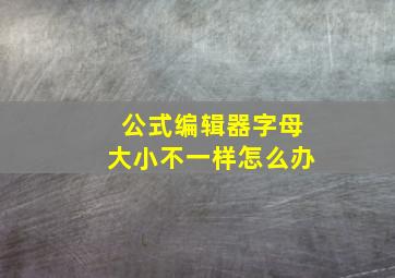 公式编辑器字母大小不一样怎么办