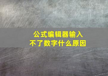 公式编辑器输入不了数字什么原因