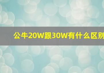 公牛20W跟30W有什么区别