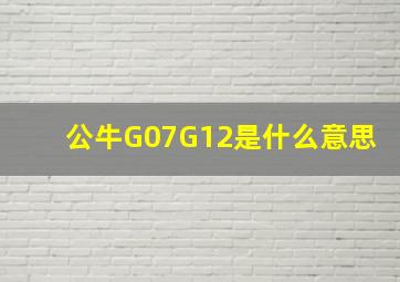 公牛G07G12是什么意思