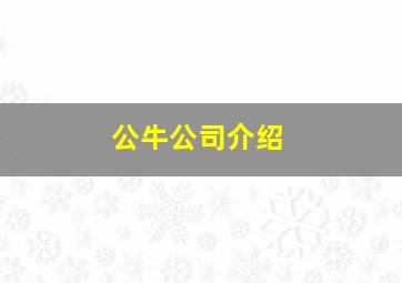 公牛公司介绍