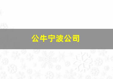 公牛宁波公司