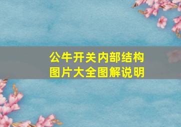 公牛开关内部结构图片大全图解说明