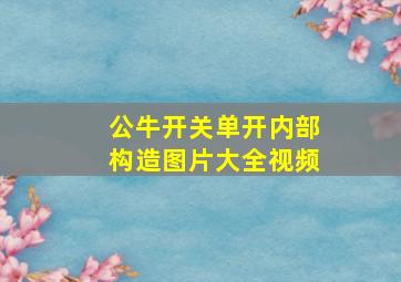 公牛开关单开内部构造图片大全视频