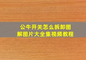 公牛开关怎么拆卸图解图片大全集视频教程