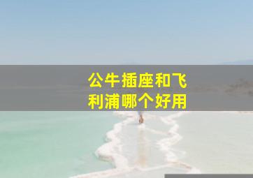 公牛插座和飞利浦哪个好用