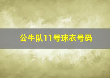 公牛队11号球衣号码