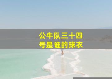 公牛队三十四号是谁的球衣