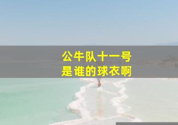 公牛队十一号是谁的球衣啊