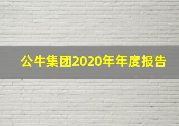 公牛集团2020年年度报告