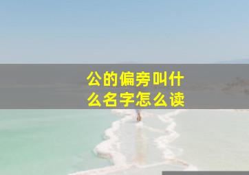 公的偏旁叫什么名字怎么读