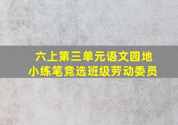 六上第三单元语文园地小练笔竞选班级劳动委员