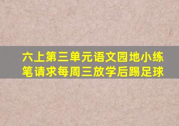 六上第三单元语文园地小练笔请求每周三放学后踢足球