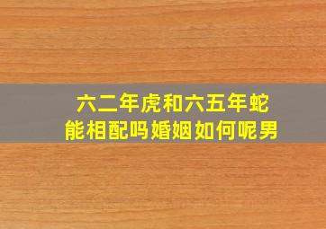 六二年虎和六五年蛇能相配吗婚姻如何呢男