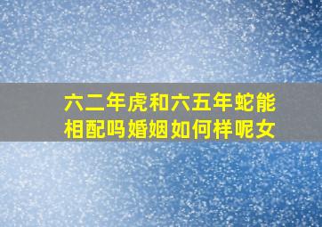 六二年虎和六五年蛇能相配吗婚姻如何样呢女