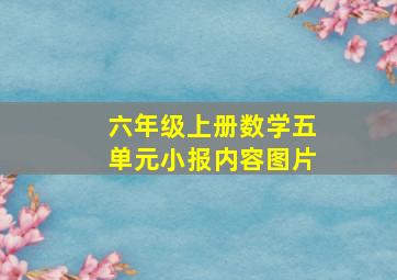 六年级上册数学五单元小报内容图片