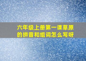 六年级上册第一课草原的拼音和组词怎么写呀