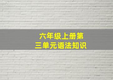 六年级上册第三单元语法知识