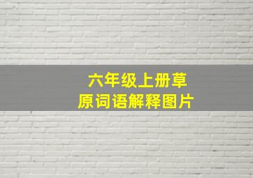 六年级上册草原词语解释图片