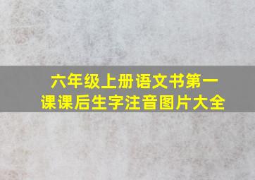 六年级上册语文书第一课课后生字注音图片大全