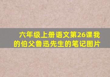 六年级上册语文第26课我的伯父鲁迅先生的笔记图片