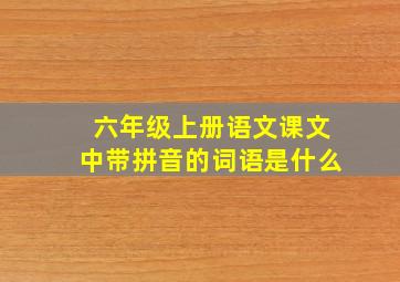 六年级上册语文课文中带拼音的词语是什么