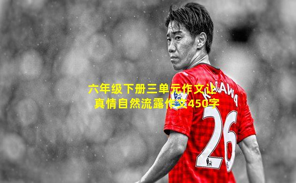 六年级下册三单元作文让真情自然流露作文450字