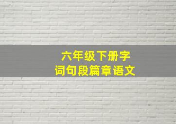 六年级下册字词句段篇章语文