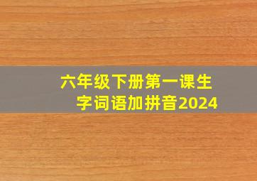 六年级下册第一课生字词语加拼音2024