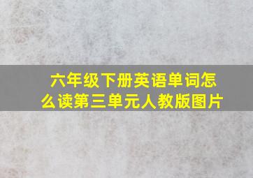 六年级下册英语单词怎么读第三单元人教版图片