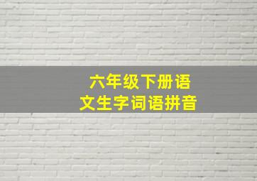 六年级下册语文生字词语拼音