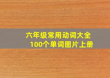 六年级常用动词大全100个单词图片上册