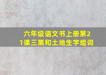 六年级语文书上册第21课三黑和土地生字组词