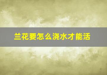 兰花要怎么浇水才能活