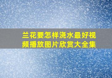 兰花要怎样浇水最好视频播放图片欣赏大全集