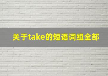 关于take的短语词组全部