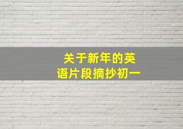 关于新年的英语片段摘抄初一