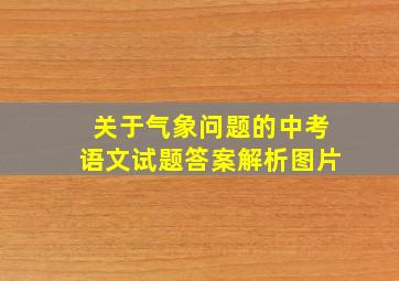 关于气象问题的中考语文试题答案解析图片