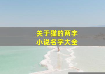 关于猫的两字小说名字大全