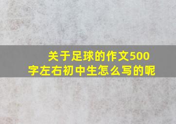 关于足球的作文500字左右初中生怎么写的呢