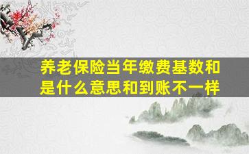 养老保险当年缴费基数和是什么意思和到账不一样