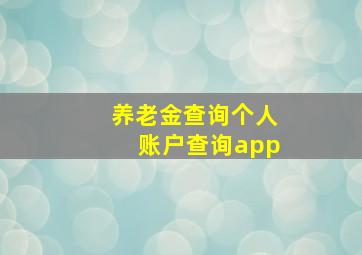 养老金查询个人账户查询app