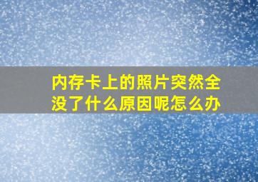 内存卡上的照片突然全没了什么原因呢怎么办