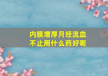 内膜增厚月经流血不止用什么药好呢