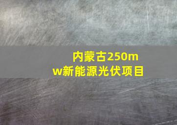 内蒙古250mw新能源光伏项目