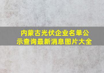 内蒙古光伏企业名单公示查询最新消息图片大全